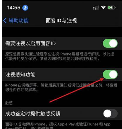 共和苹果14维修网点分享iPhone14注视感知功能有什么用 